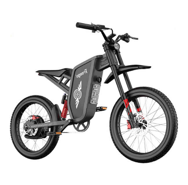 Freego X1 Series Off Road Dirt Bike