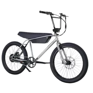 ZOOZ Ultra Urban E-Bike Chrome